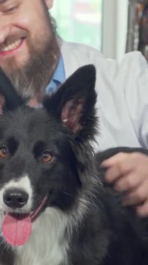 Parlak paltolu neşeli, tüylü bir köpek, dost canlısı bir erkek veteriner ona özel bağlarını gösterirken mutluluk saçıyor. Canlı veteriner kliniği renkli tasmalar ve sıcak, davetkar bir atmosferle dolu.