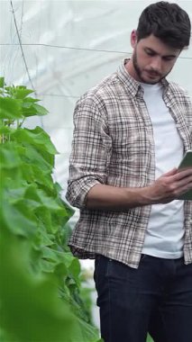 Kendini adamış genç bir tarım uzmanı canlı bir serada duruyor ve etrafındaki gelişmekte olan bitkileri izlemek için bir tablet kullanıyor. Bu tutkulu çiftçi, sürdürülebilir tarımın yenilikçi geleceğini temsil ediyor.
