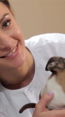 Kendini adamış bir kadın veteriner köpekleri sevgiyle kameraya doğru çeviriyor, sıcaklık ve profesyonellik saçıyor. Bu samimi yakın plan beyaz önlüklü ve özenli beyaz kadın arasındaki bağı güzel bir şekilde yakalıyor.