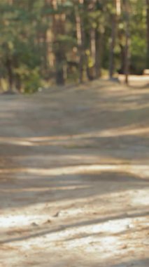 Canlı bir çift, yürüyüş maceraları sırasında büyüleyici orman manzarasının ortasında gülümsemeye dönüşerek keyifli bir anı paylaşıyor. Şık sakallı ve güzel esmer kız arkadaşı, her ikisi de neşe saçıyor.