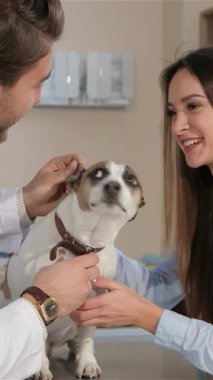 Şefkatli bir erkek veteriner köpeğinin dişlerini nazikçe incelerken gülümseyen bir kadın sahibi gururla seyrederek güven ve dostluk sahnesi yaratıyor. Gıcır gıcır beyaz ceketli esmer veteriner, sevgiyle bağlanırken uzmanlığını sergiliyor.
