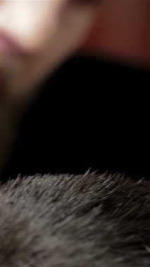 Canlı bir berber dükkanında, yetenekli bir berber titizlikle hazırlanmış sakallı, modaya uygun bir gencin saçını ustalıkla yapar. Sahne enerji ve entellektüellik yayıyor, erkek tımar sanatının sanatsal özelliklerini ve samimi bağlantılarını vurguluyor.