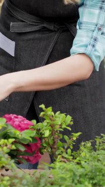 Mavi kareli gömlekli ve gri önlüklü neşeli genç bir kadın yemyeşil yeşilliklerle dolu canlı bir bahçe merkezinden parlak pembe sardunya saksısını dikkatle seçiyor. Parlak gülüşü ve nazik dokunuşu bahçıvanlığa olan tutkusunu yansıtıyor.