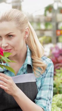 Neşeli bir bayan çiçekçi, zarif sarı saçlarıyla, canlı bir bahçe merkezinde ışıl ışıl kırmızı ve beyaz çiçeklerin hoş kokusunu soluyor. Renkli bitkilerin kaleydoskobuyla çevrili bu genç beyaz kadın...