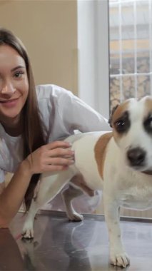 Kendini adamış bir kadın veteriner muayene masasında Jack Russell Terrier ile nazikçe iletişim kurarak sıcak ve davetkar bir atmosferi teşvik ediyor. Köpek güven ve şefkat saçarak, rahat veteriner kliniğinde duruyor.