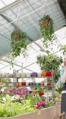 Dalgalı sarı saçlı neşeli bir çiçekçi elinde akıllı telefonuyla renkli çiçekliklerden oluşan bir çiçek tarhında zarif bir şekilde geziniyor ve canlı bir sohbete dalıyor. Şık bir önlük giyerek, canlı bitkilerle sevgi dolu bir şekilde ilgilenir.