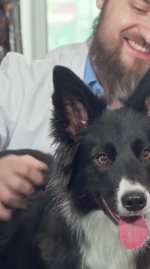 Neşeli, tüylü, siyah ve beyaz bir köpek, dost canlısı bir erkek veteriner onu nazikçe okşayıp özel bağlarını gösterirken neşe saçıyor. Renkli tasmalar ve parlak dekorlarla süslenmiş enerjik klinik sıcak ve davetkar bir atmosfer yaratıyor.