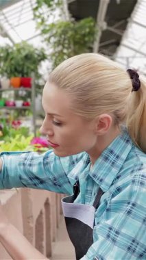 Dalgalı sarı saçlı odaklanmış genç bir bayan çiçekçi renkli bir çiçek tarlasının yanında diz çöker, titizlikle canlı çiçekleri ve gür yaprakları inceler. Şık bir önlük ve ekose gömlek giyen bu çekici beyaz kadın yaratıcılık saçıyor.