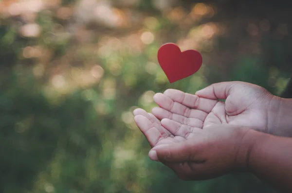 red heart shaped wooden piece floating above human palms