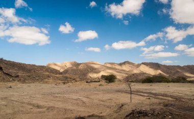 Ağacı ve dağı olan güzel bir manzara.