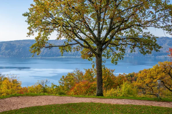Vue Panoramique Lac Constance Automne — Photo