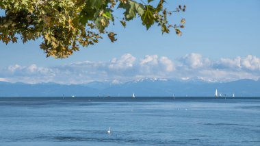 Güzel Constance Gölü Konstanz Gölü kıyısında tatil