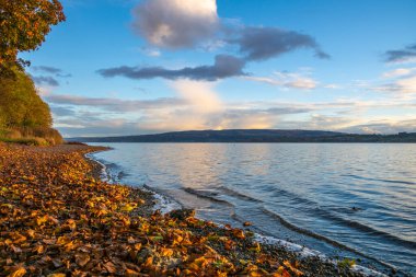 Güzel Constance Gölü 'nde sonbahar tatili mavi gökyüzü ve göl kıyısında sonbahar yapraklarıyla