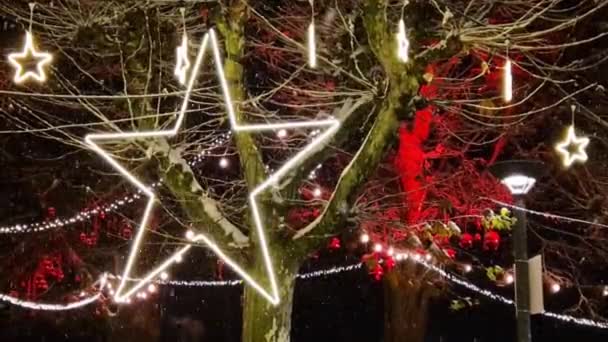Weihnachtssterne Leuchten Mit Fallendem Schnee — Stockvideo
