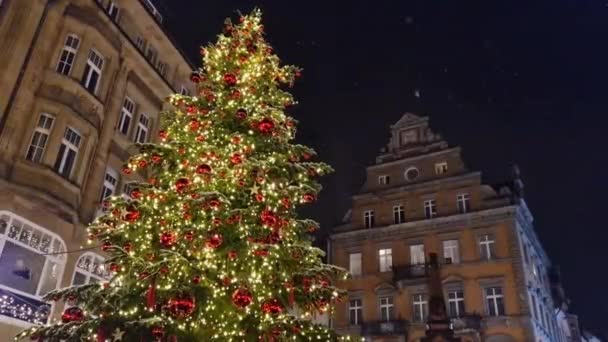 Christbaum Weihnachtsmarkt Konstanz Und Schneefall — Stockvideo