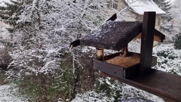 Vogelhuis Winter Met Sneeuw Achtergrond — Stockvideo