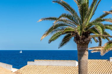 Playa de Cala Mandia plaj tatili