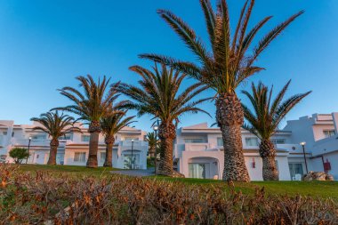 Blau punta reina, Mallorca Palmiyeleri Tatil Köyü 