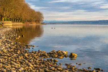 Alpine view at Lake Constance in winter from lake shore 