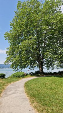 Güzel Constance Gölü 'nde yaz tatili. Mavi gökyüzü ve güneşli.