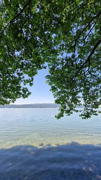 Sommar Semester Vackra Bodensjön Med Blå Himmel Och Sol — Stockfoto