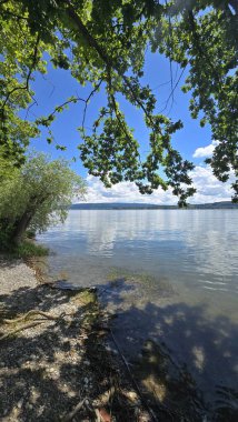 Güzel Constance Gölü Radolfzell Tatilleri