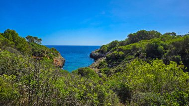 Deniz kenarında yaz tatili Cala Murta Mallorca