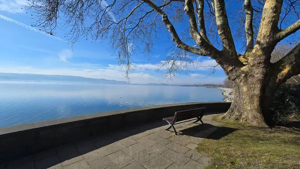 Güzel Constance Gölü 'nde tatil Radolfzell mavi gökyüzü güneşi