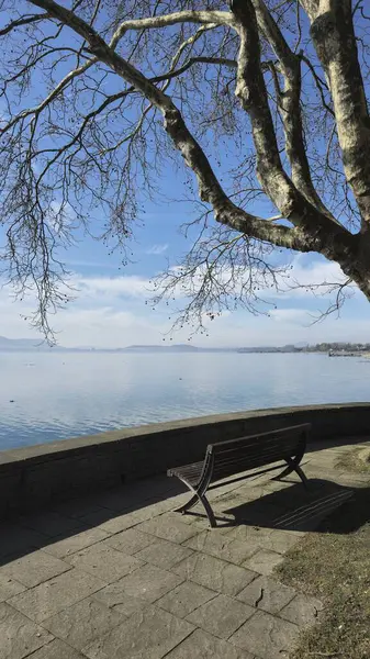 Güzel Constance Gölü 'nde tatil Radolfzell mavi gökyüzü güneşi