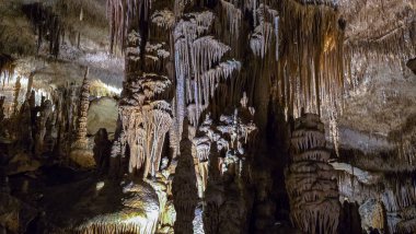 Mallorca, İspanya 'daki Cuevas del Drach Majestic Yeraltı Mağaraları