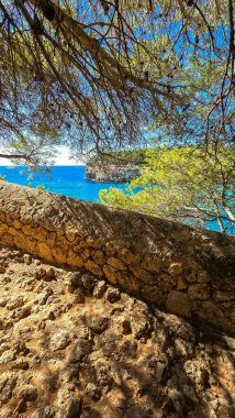 Plaj Cala Romantika Yaz tatilleri Mallorca