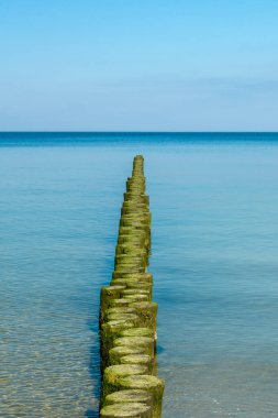 Sahildeki ahşap kırma suyu. Kullanışlı baltık denizi.