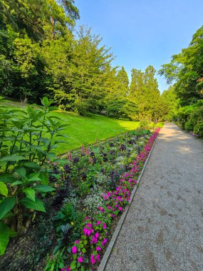 Yazın Constance Gölü 'ndeki ueberlingen Şehir Bahçesi Renkli Çiçekler ve Günışığı