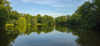 Yazın Carolasee Dresden