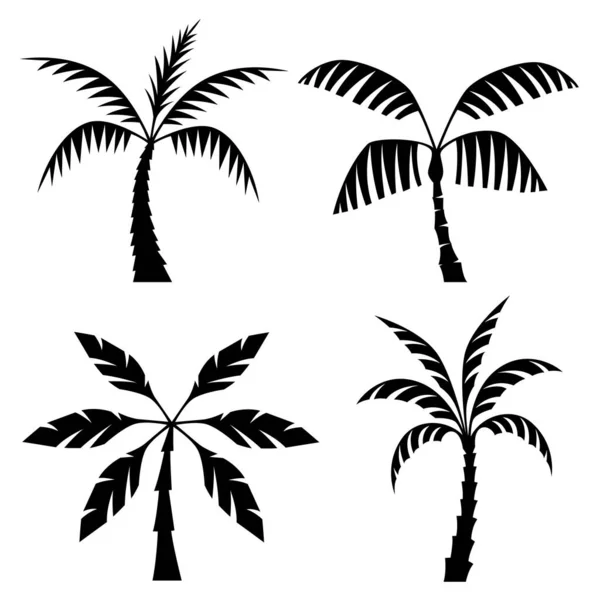 Silhueta Palmeira Vetor — Vetor de Stock