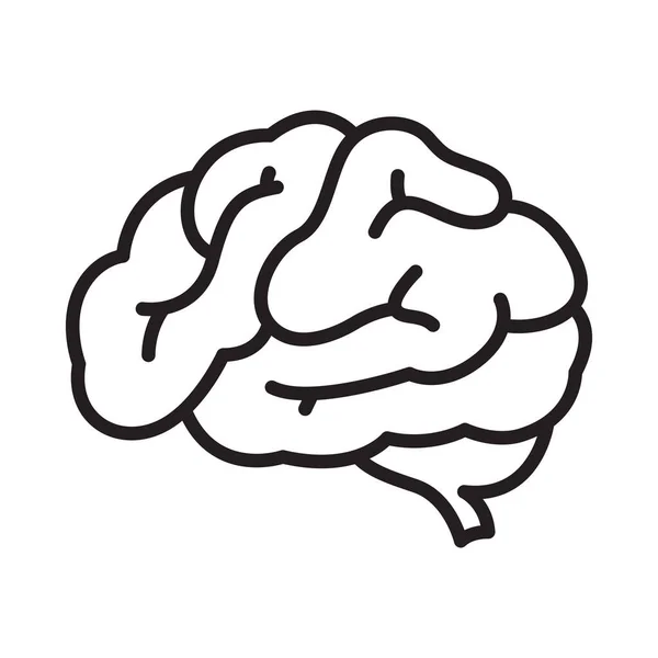 Ícone Cérebro Humano Design Simples Linha Preta Fundo Branco — Vetor de Stock
