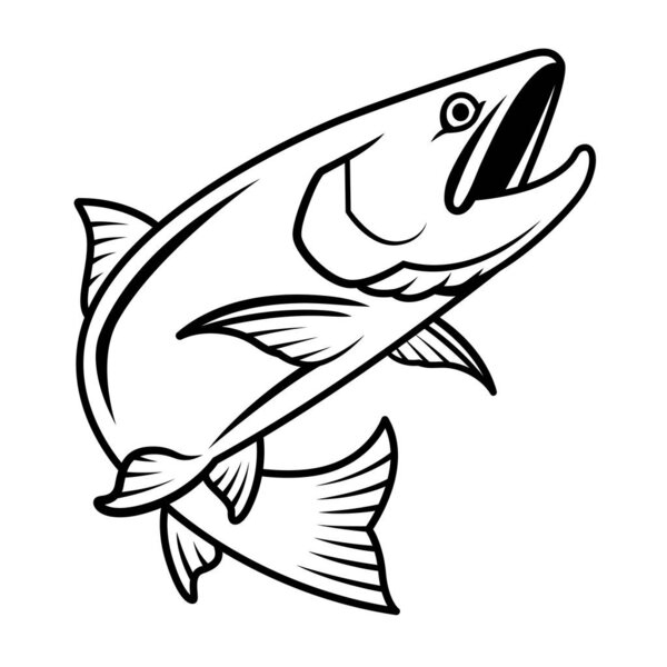 Salmon drawing with black blush lines, aquatic animal illustration on white background.