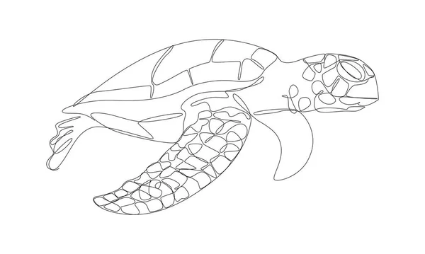 Безперервна Лінія Малювання Морської Черепахи Довгі Лінії Форми Морської Черепахи — стоковий вектор
