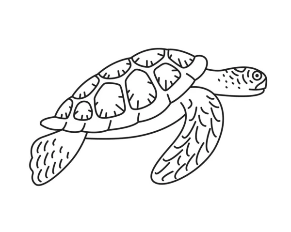 Картина Морської Черепахи Вектор — стоковий вектор