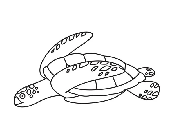 Deniz Kaplumbağası Resmi Vektör — Stok Vektör