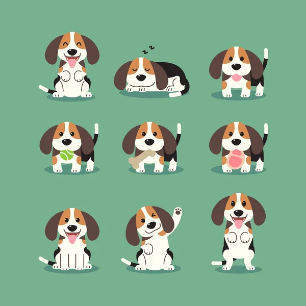 Dibujos Animados Beagle Cachorros Varias Poses Conjunto Dibujos Para Mascotas — Vector de stock
