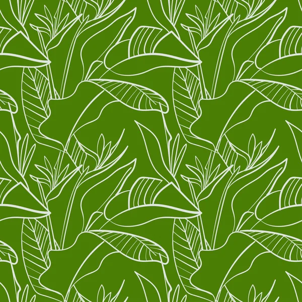 Seamless Pattern Tropical Plants Strelitzia Flowers Vector Line Art — Stock Vector
