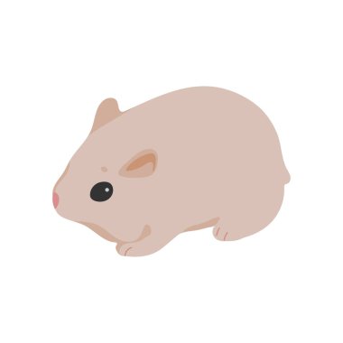 şirin hamster vektör illüstrasyonu
