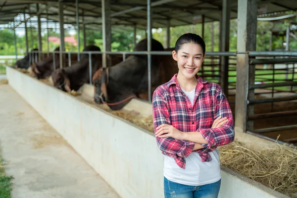 Asian farmer posing happy on a cow dairy farm inside a cowshed, farming, people and animal, Agriculture industry.