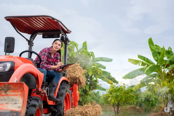 stock image Asian Female agronomist sitting and looking at the future using tablet modern technology in agriculture. Agricultural technology concept.