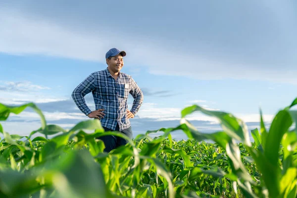 Asian Young Farmer Stands Happily Looking Corn Stalks His Growing — Stock Photo, Image