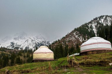 Yurt 'un arka planına karşı yeşil çayırların arka planı. Yurt, göçebe yaşam tarzına uygun taşınabilir bir evdir..