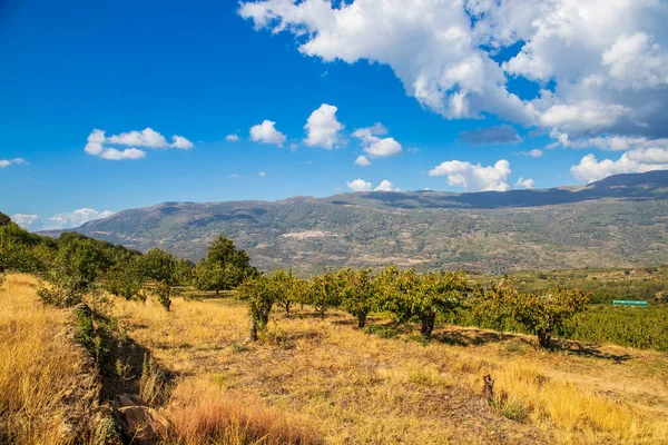 Extremadura, İspanya 'daki Valle del Jerte' nin panoramik manzara fotoğrafı. Tatil, turizm, macera, gastronomi ve eğlence konsepti. Yatay Resim