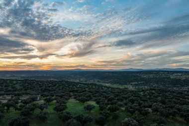 Aerial view with drone of autumn landscape at sunset in the north of Extremadura, Spain, with trees, plants and rocks. Concept of rural, healthy life, travel, transport, sport and adventure.