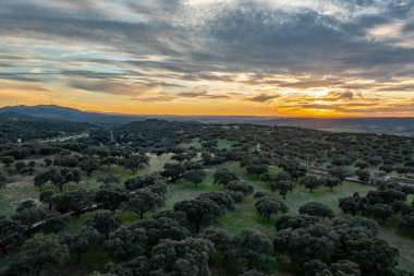 Aerial view with drone of autumn landscape at sunset in the north of Extremadura, Spain, with trees, plants and rocks. Concept of rural, healthy life, travel, transport, sport and adventure.